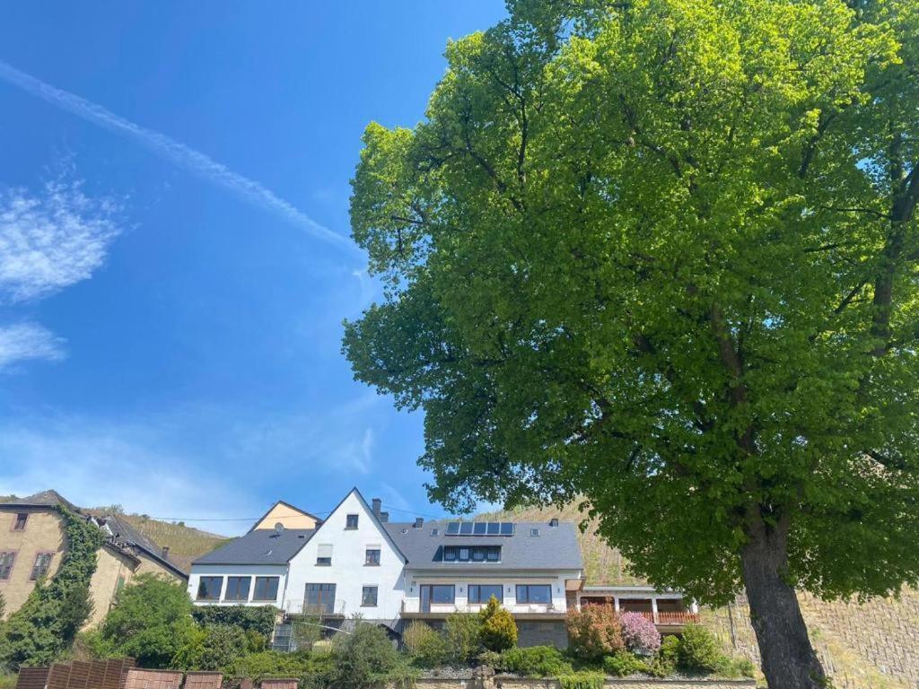 Chateau-De-La-Moselle Kinheim Exterior photo